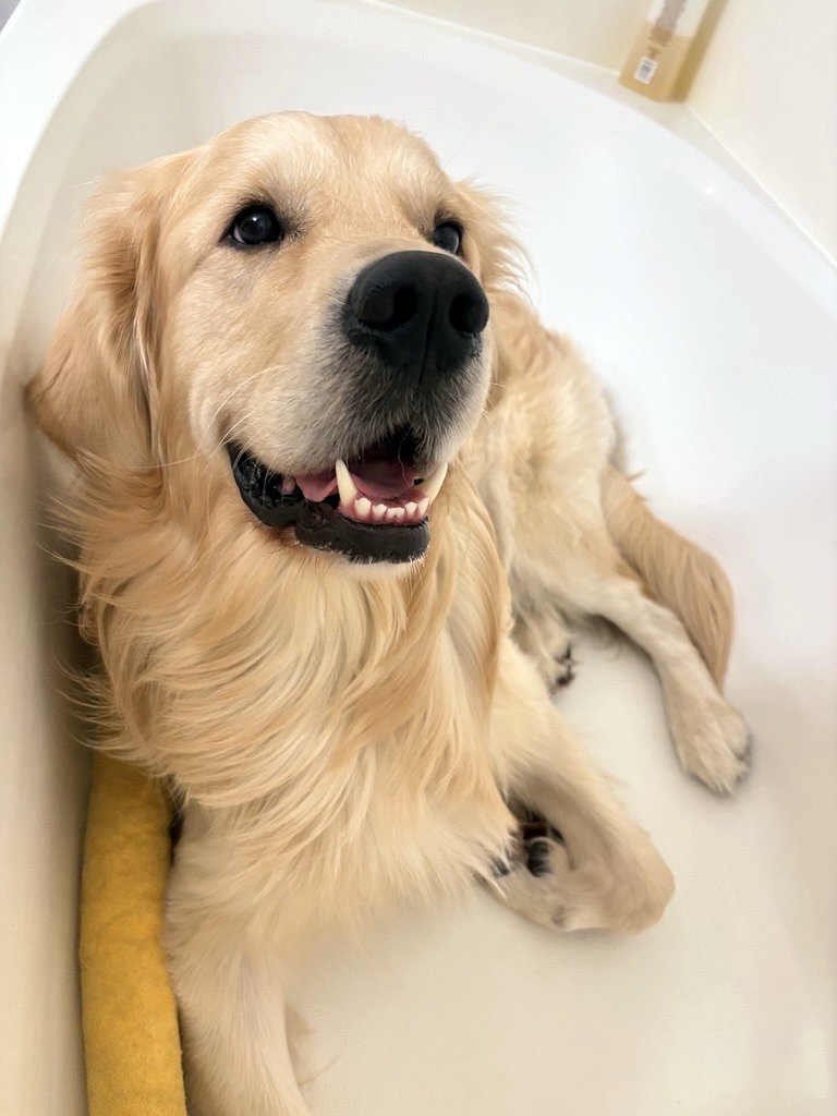 Bath time